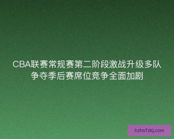 CBA联赛常规赛第二阶段激战升级多队争夺季后赛席位竞争全面加剧